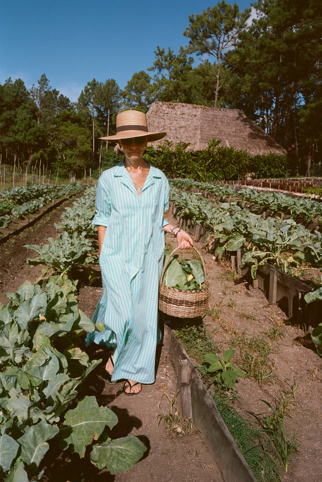 The Notched Collar Shirtdress, Coppola Stripes